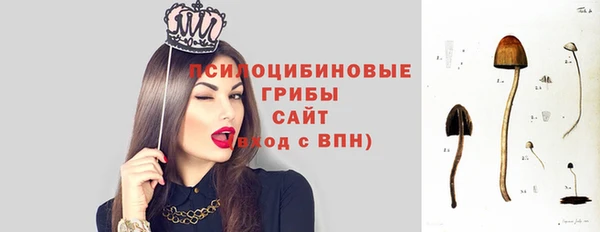кокс Надым