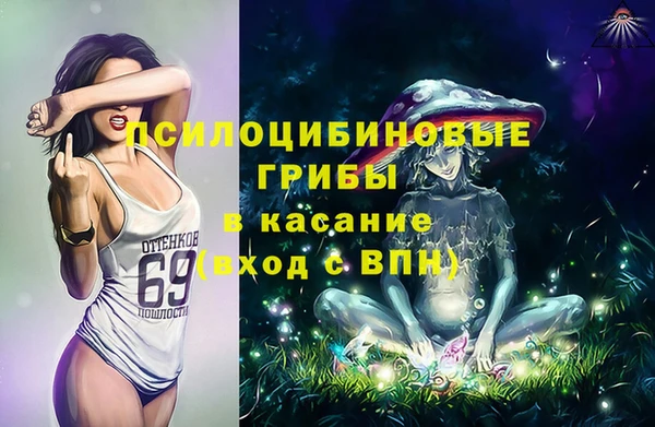 ПСИЛОЦИБИНОВЫЕ ГРИБЫ Нефтекумск