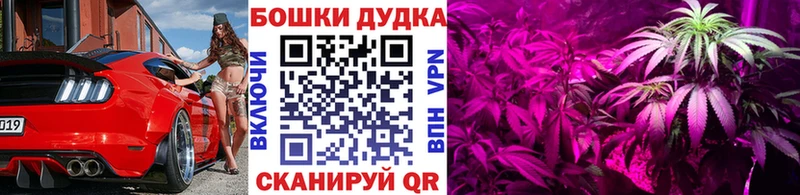 Конопля MAZAR  Лермонтов 