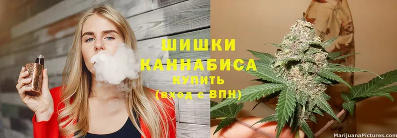 Бошки марихуана OG Kush  Лермонтов 